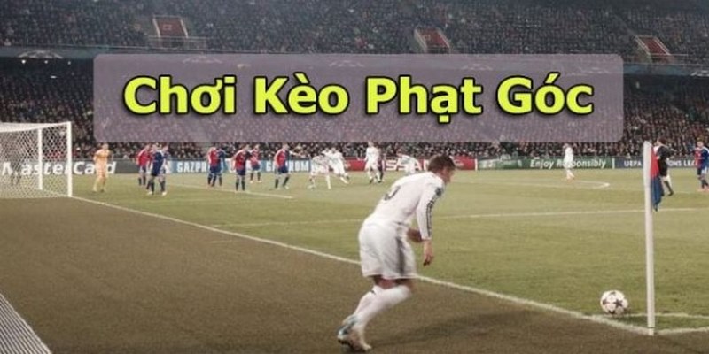 Một số loại kèo phạt góc phổ biến tân thủ nên biết