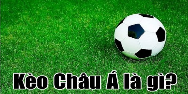 Lý do đông đảo bet thủ lựa chọn kèo cược châu Á