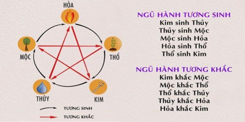 Cân nhắc đến mùa, ngũ hành khi chọn gà ra sân